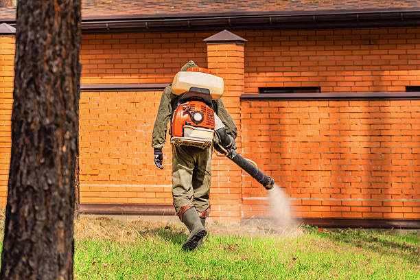 Trusted Emergency Pest Control service in Harlowton, MT - Nex Pest Control